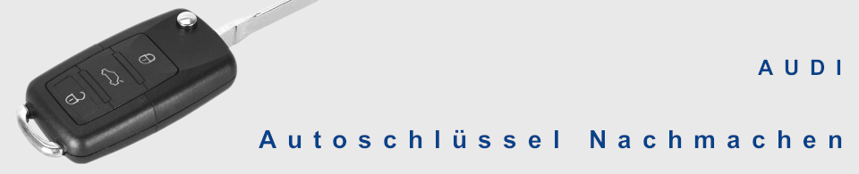  Autoschlüssel nachmachen für AUDI, Q3, Q5, Q7, S1, , S4, S5, S6, S7, S8, TT, Coupe, A7, A6, A8, Allroad, Cabrio, A2, A3, A5, A4, A1 