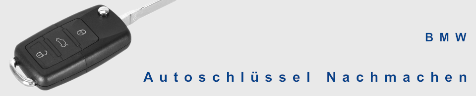 Autoschlüssel nachmachen für BMW, 1er, 3er, 5er, 6er, 7er, F 650, F 800, K 1200, Mini Cooper, R 1200 RT, X series, X3, X5
